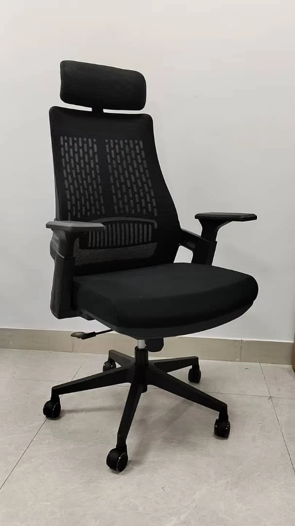 Ergonomic Mesh High-Back Chair with Adjustable Headrest